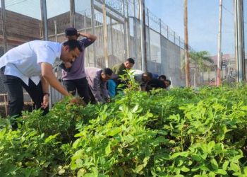 Kalapas Kelas IIB Pohuwato Panen Kacang Tanah Bersama Warga Binaan 